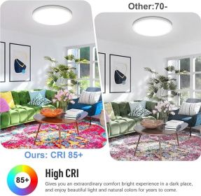Sun Rider LED Flush Mount Ceiling Light Fixture